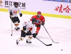 西城黑豹队对阵南城鲸鲨队，冰球联赛击败，细节决定成败——传控打穿防线(篮网队球员名单)