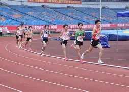 田径大师赛上演强强对话，岭南犀牛队绝杀岭东飞鹰队，多点开花奏效；保级形势悄然变化的简单介绍